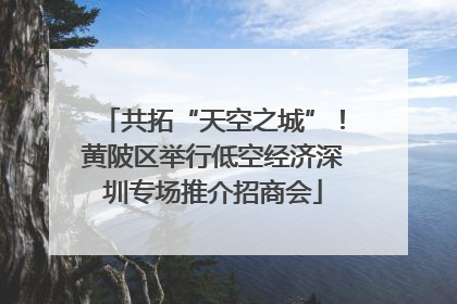 共拓“天空之城”！黄陂区举行低空经济深圳专场推介招商会