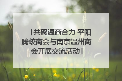 共聚温商合力 平阳腾蛟商会与南京温州商会开展交流活动