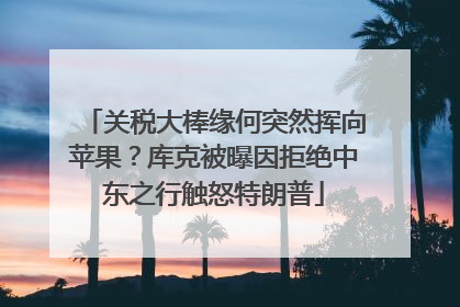 关税大棒缘何突然挥向苹果？库克被曝因拒绝中东之行触怒特朗普