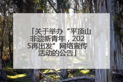 关于举办“平顶山非遗新青年，2025再出发”网络宣传活动的公告