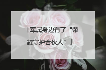 军属身边有了“荣耀守护合伙人”