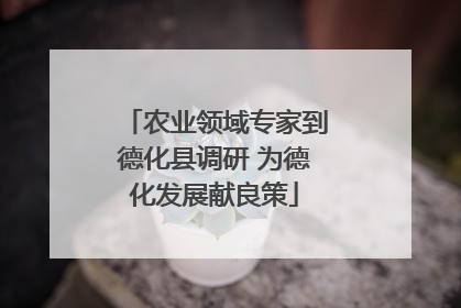 农业领域专家到德化县调研 为德化发展献良策