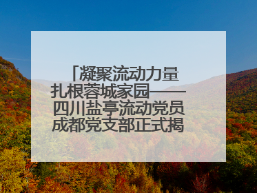凝聚流动力量 扎根蓉城家园——四川盐亭流动党员成都党支部正式揭牌成立