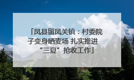 凤县留凤关镇：村委院子变身晒麦场 扎实推进“三夏”抢收工作