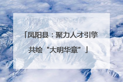 凤阳县：聚力人才引擎 共绘“大明华章”