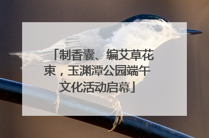 制香囊、编艾草花束，玉渊潭公园端午文化活动启幕
