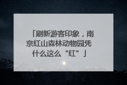 刷新游客印象，南京红山森林动物园凭什么这么“红”