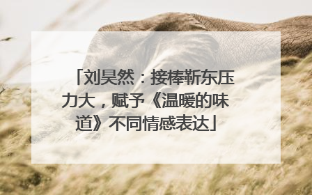 刘昊然：接棒靳东压力大，赋予《温暖的味道》不同情感表达