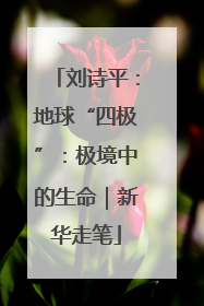 刘诗平：地球“四极”：极境中的生命｜新华走笔