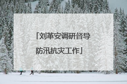 刘革安调研督导防汛抗灾工作