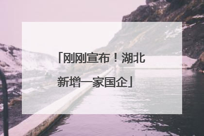 刚刚宣布！湖北新增一家国企