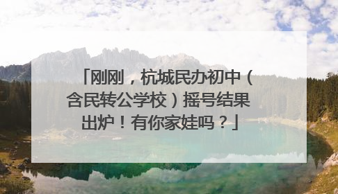刚刚，杭城民办初中（含民转公学校）摇号结果出炉！有你家娃吗？