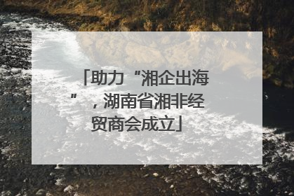 助力“湘企出海”，湖南省湘非经贸商会成立