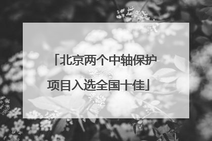 北京两个中轴保护项目入选全国十佳