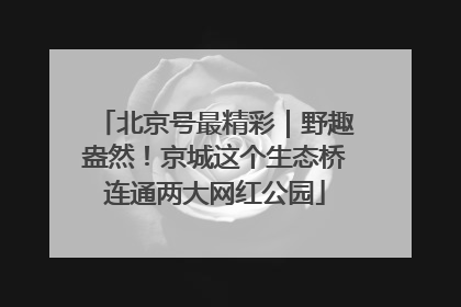 北京号最精彩｜野趣盎然！京城这个生态桥连通两大网红公园