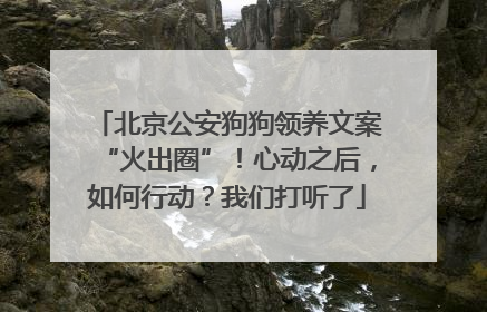 北京公安狗狗领养文案“火出圈”！心动之后，如何行动？我们打听了