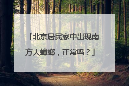 北京居民家中出现南方大蟑螂，正常吗？