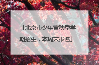 北京市少年宫秋季学期招生，本周末报名