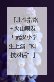 北斗指路+火山喷发！武汉小学生上演“科技对话”