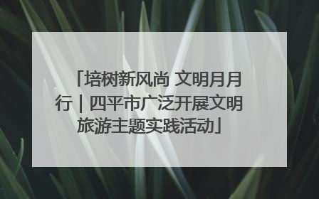 培树新风尚 文明月月行｜四平市广泛开展文明旅游主题实践活动