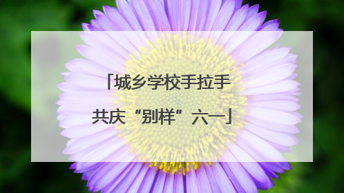 城乡学校手拉手 共庆“别样”六一