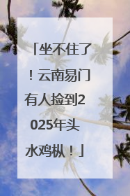 坐不住了！云南易门有人捡到2025年头水鸡枞！