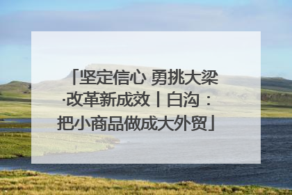坚定信心 勇挑大梁·改革新成效丨白沟：把小商品做成大外贸