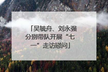 吴毓舟、刘永强分别带队开展“七一”走访慰问