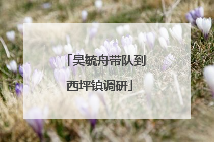 吴毓舟带队到西坪镇调研