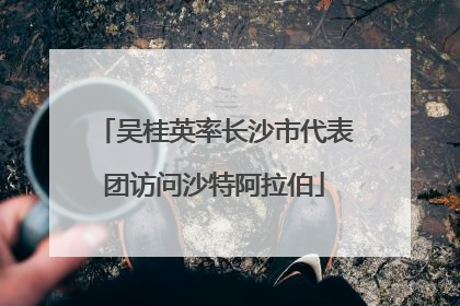 吴桂英率长沙市代表团访问沙特阿拉伯