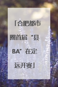 合肥都市圈首届“县BA”在定远开赛