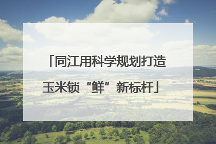 同江用科学规划打造玉米锁“鲜”新标杆