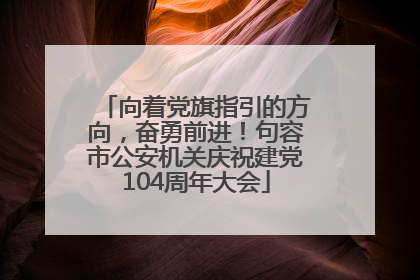 向着党旗指引的方向，奋勇前进！句容市公安机关庆祝建党104周年大会