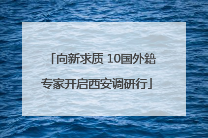 向新求质 10国外籍专家开启西安调研行