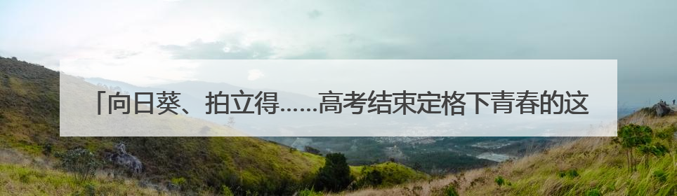 向日葵、拍立得……高考结束定格下青春的这个瞬间是& 8594;｜2025四川高考