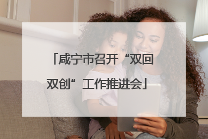 咸宁市召开“双回双创”工作推进会