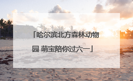 哈尔滨北方森林动物园 萌宝陪你过六一
