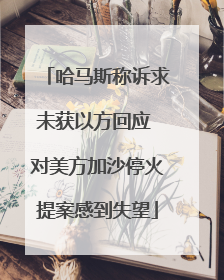 哈马斯称诉求未获以方回应 对美方加沙停火提案感到失望