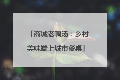 商城老鸭汤：乡村美味端上城市餐桌