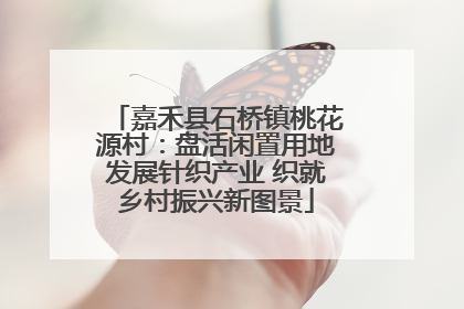嘉禾县石桥镇桃花源村：盘活闲置用地发展针织产业 织就乡村振兴新图景