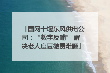 国网十堰东风供电公司：“数字反哺” 解决老人度夏缴费难题