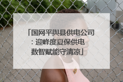 国网平舆县供电公司：迎峰度夏保供电  数智赋能守清凉
