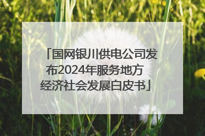 国网银川供电公司发布2024年服务地方经济社会发展白皮书