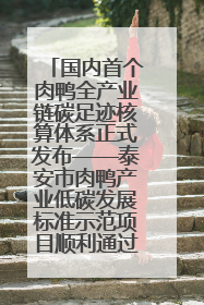 国内首个肉鸭全产业链碳足迹核算体系正式发布——泰安市肉鸭产业低碳发展标准示范项目顺利通过验收