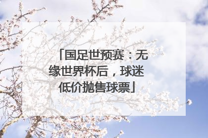 国足世预赛：无缘世界杯后，球迷低价抛售球票