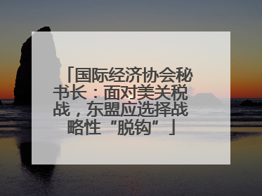 国际经济协会秘书长：面对美关税战，东盟应选择战略性“脱钩”
