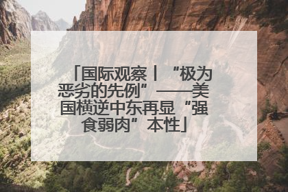 国际观察丨“极为恶劣的先例”——美国横逆中东再显“强食弱肉”本性