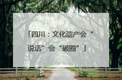 四川：文化遗产会“说话”会“破圈”