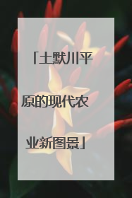 土默川平原的现代农业新图景