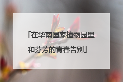 在华南国家植物园里和芬芳的青春告别
